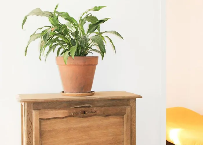 Le Puy Pin, 4 Personnes * Sevremont